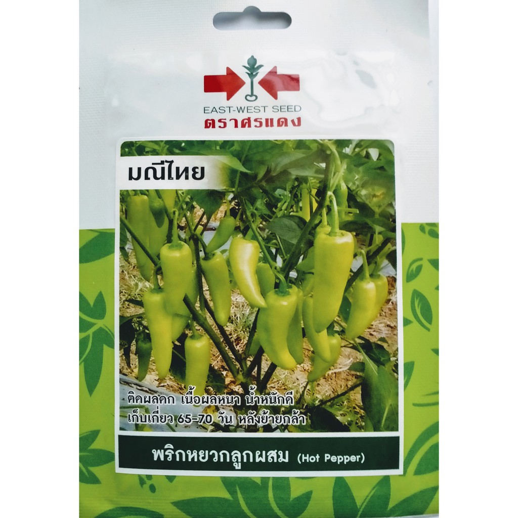 5-ฟรี-1-คละได้-เมล็ดพันธุ์-พริกหยวกลูกผสม-มณีไทย-ตราศรแดง-เมล็ดผัก-เมล็ดพันธุ์พืช-เมล็ดพืช-เมล็ดพันธุ์ผัก