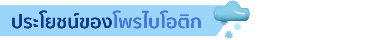 webp_image