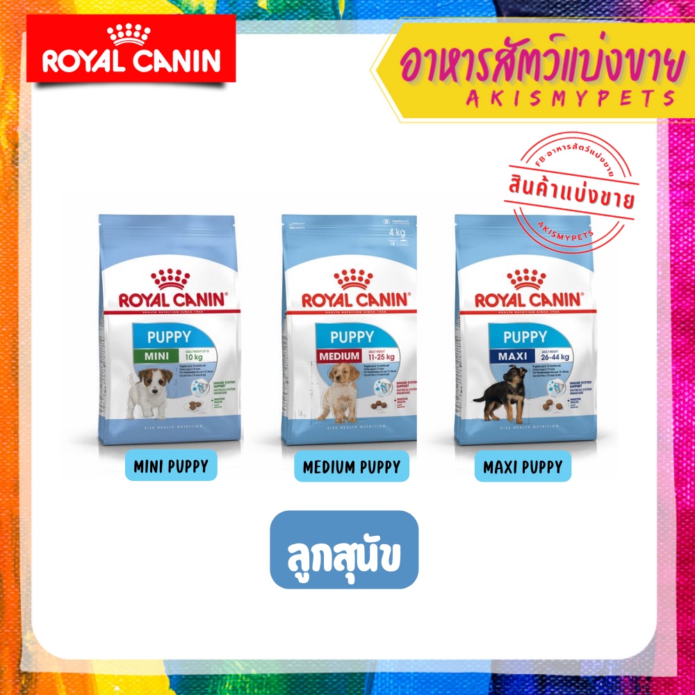 royal-canin-อาหารลูกสุนัข-แบ่งขายราคาถูก-ขนาด-1-kg-500g