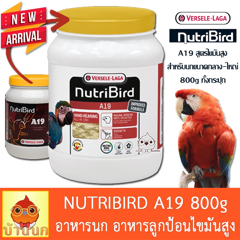 nutribird-a19-800g-โฉมใหม่-อาหารนกลูกป้อน-สำหรับลูกนกที่ต้องการพลังงานไขมันสูง-อาหารนก-อาหารลูกนก-ลูกป้อน-high-fat