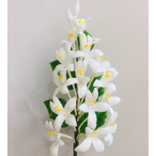 ดอกไม้ติดผมดอกปีบสีขาว