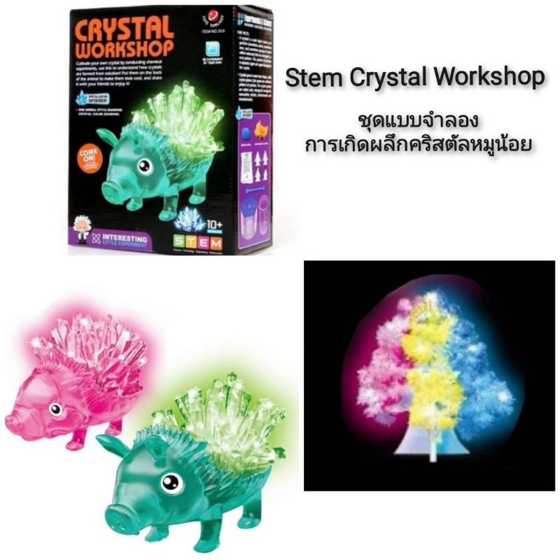 stem-crystal-workshop-ชุดแบบจำลองการเกิดผลึกคริสตัลหมูน้อย
