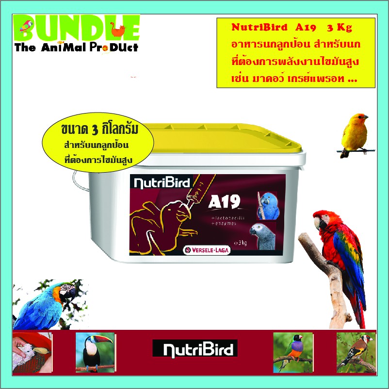 nutribird-a19-3-kg-อาหารนกลูกป้อน-อาหารลูกป้อน-สำหรับลูกนกที่ต้องการพลังงานไขมันสูง-ขนาด-3-กิโลกรัม