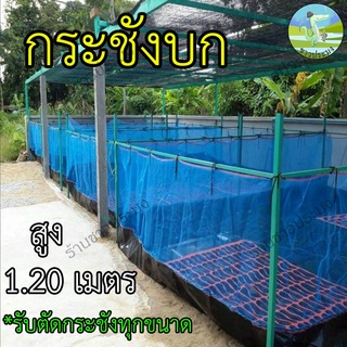 กระชังบก 1x1 1x2 1.5x2 2x2 2x3 3x4 เมตร สูง 1.2เมตร ยกขอบ 35 ซม. กระชังปลา กระชัง เลี้ยงกบ เลี้ยงปลา เลี้ยงกุ้ง เลี้ยงปู