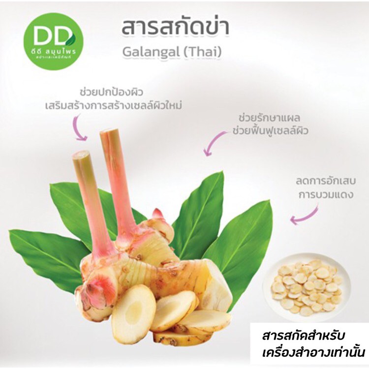 สารสกัดข่า-galangal-extract-สารสกัดสมุนไพร-สำหรับใส่เครื่องสำอางเท่านั้น