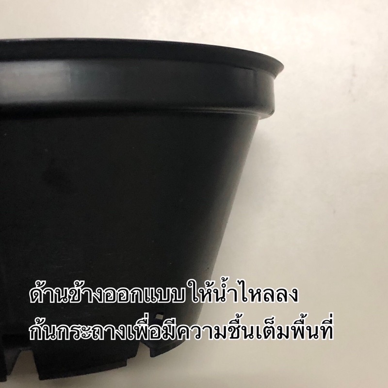 20-ใบ-กระถาง-6-นิ้ว-กระถางเพาะเมล็ด-กระถางต้นไม้-กระถางทรงชาม-กระถางปากกว้าง