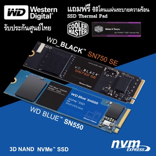 ภาพหน้าปกสินค้าWestern Digital WD SSD Black SN770 Blue SN570 NVMe m.2 2280 ประกันศูนย์ไทย แถม Cooler Master SSD Thermal Pads ที่เกี่ยวข้อง