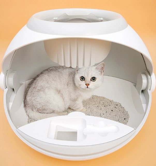 ห้องน้ำแมว-cat-litter-box