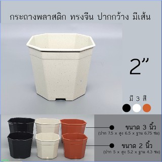 กระถางพลาสติกแปดหลี่ยม 2นิ้ว (ขอสั่งขั้นต่ำ10ใบนะคะ) กระถาง8เหลี่ยม กระถางแคคตัส cactus กระถางไม้อวบน้ำ