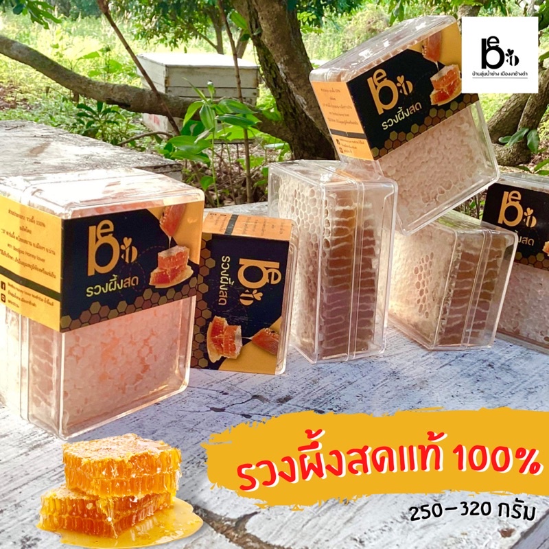 แพ็ค-3-ชิ้น-beeboo-รวงผึ้งสด-รวงน้ำผึ้งสดแท้-100-honey-comb-900-กรัม-ผ่าน-gap-ของฝาก-น้ำผึ้งแท้-น้ำผึ้ง-ผึ้ง-รังผึ้งแ