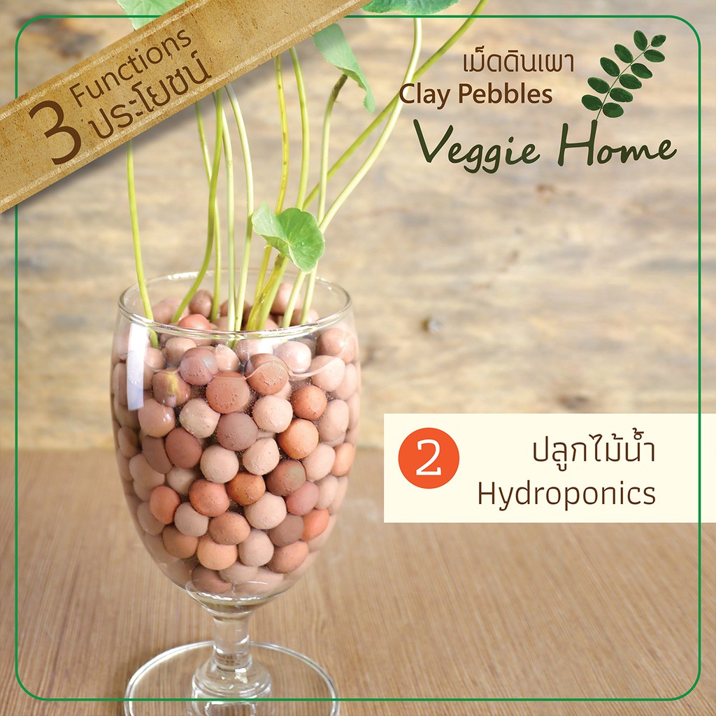 เม็ดดินเผา-clay-pebbles-คละสี-โรยหน้าดิน-ปลูกต้นไม้-ปลูกไม้น้ำ-หยดน้ำมันหอมระเหย-veggie-home