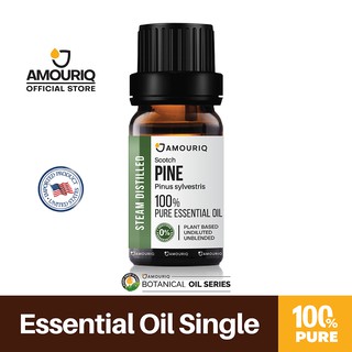 นํ้ามันหอมระเหย สน ไพน์ บริสุทธิ์แท้ กลั่นไอน้ำชนิดเข้มข้นไม่ผสม 100% Pine Essential Oil Steam-Distilled น้ำมันหอมสนไพน์
