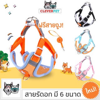 ภาพหน้าปกสินค้า[พร้อมส่ง🇹🇭] CLEVER สายรัดอก แมว พร้อมสายจูง สายรัดอกสุนัข ระบายความร้อน สายรัดอกหมา สายจูงสุนัข Cleverpet ที่เกี่ยวข้อง