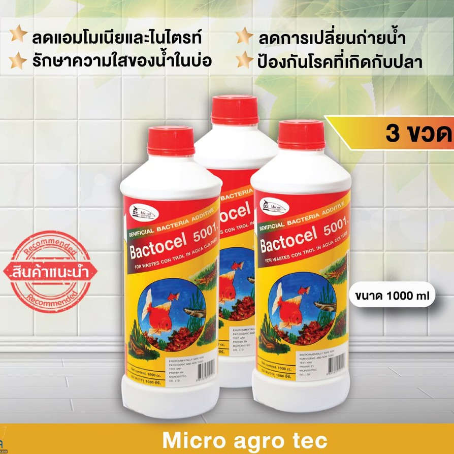 3-ชิ้น-จุลินทรีย์รักษาสภาพน้ำในบ่อปลา-แบคโตเซล-5001-bactocel-5001-รักษาน้ำในบ่อ-น้ำใส-น้ำมีกลิ่นเหม็น-ตู้ปลา-บ่อปลา-บ่อก