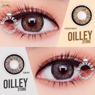 คอนแทคเลนส์ Wink Lens Oilley 3tone(Gray,Brown) ค่าสายตา 0.00 ถึง -5.00