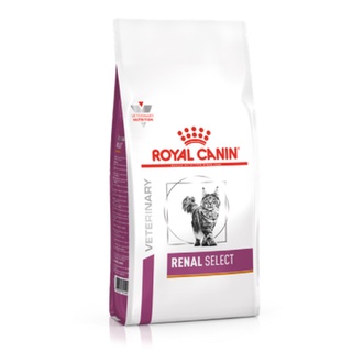 ภาพหน้าปกสินค้าRoyal canin Renal select cat 400 g.หมดอายุ 10/2023 แบบเม็ดสำหรับแมวเป็นโรคไตแบบสอดไส้ ที่เกี่ยวข้อง