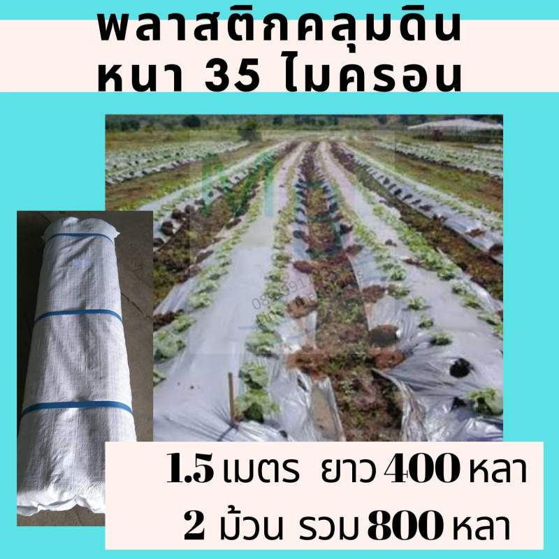 พลาสติกคลุมดิน-1-5เมตร-35ไมครอน-2ม้วน-800-หลา-คลุมแปลงผักกันวัชพืช