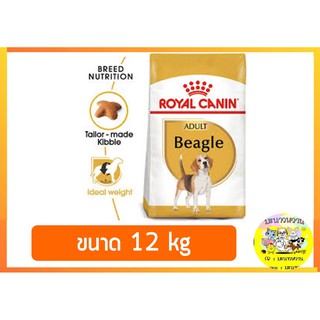 Royal canin โรยัล คานิน Beagle Adult 12 kg