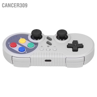 Cancer309 Gamepad Wireless Controller Game Joystick Double Shock for TURBO Motion Sensing PC