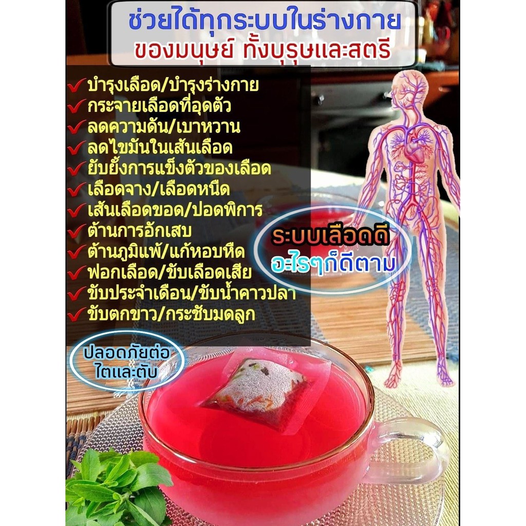 ภาพสินค้าส่งฟรี ชาสมุนแก่นนางพญา ชุดทานต่อเนื่อง 590 บาท จากร้าน the.best.products บน Shopee ภาพที่ 1