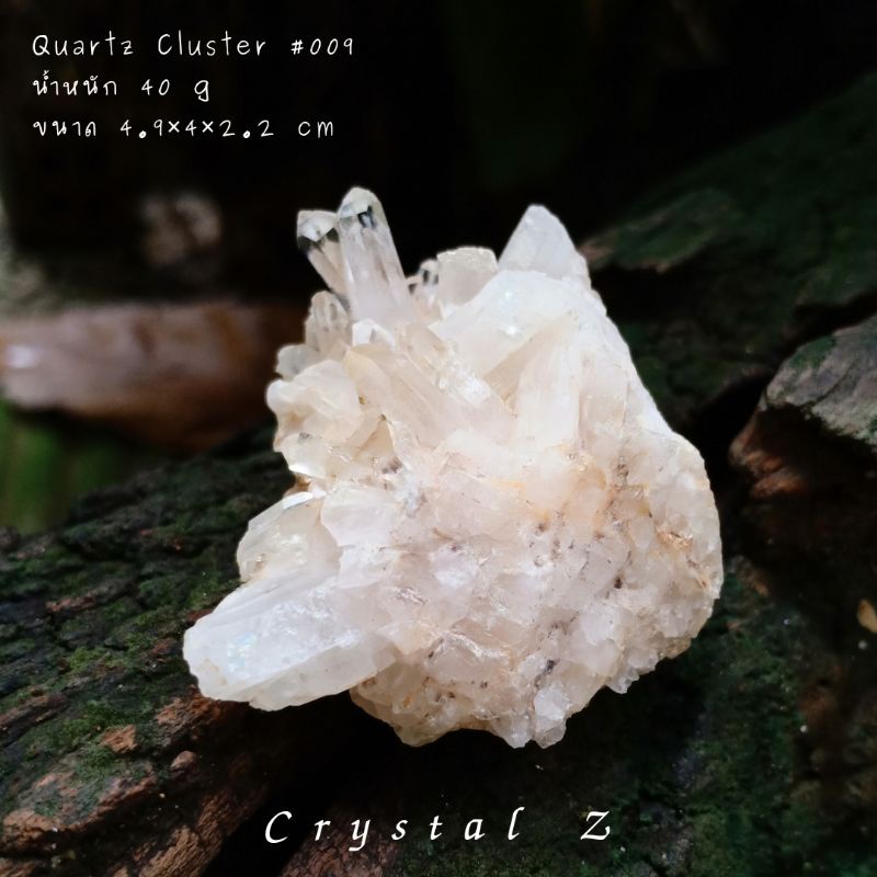 ควอตซ์-quartz-009-cluster-คนไทย-เรียกว่า-เขี้ยวหนุมาน