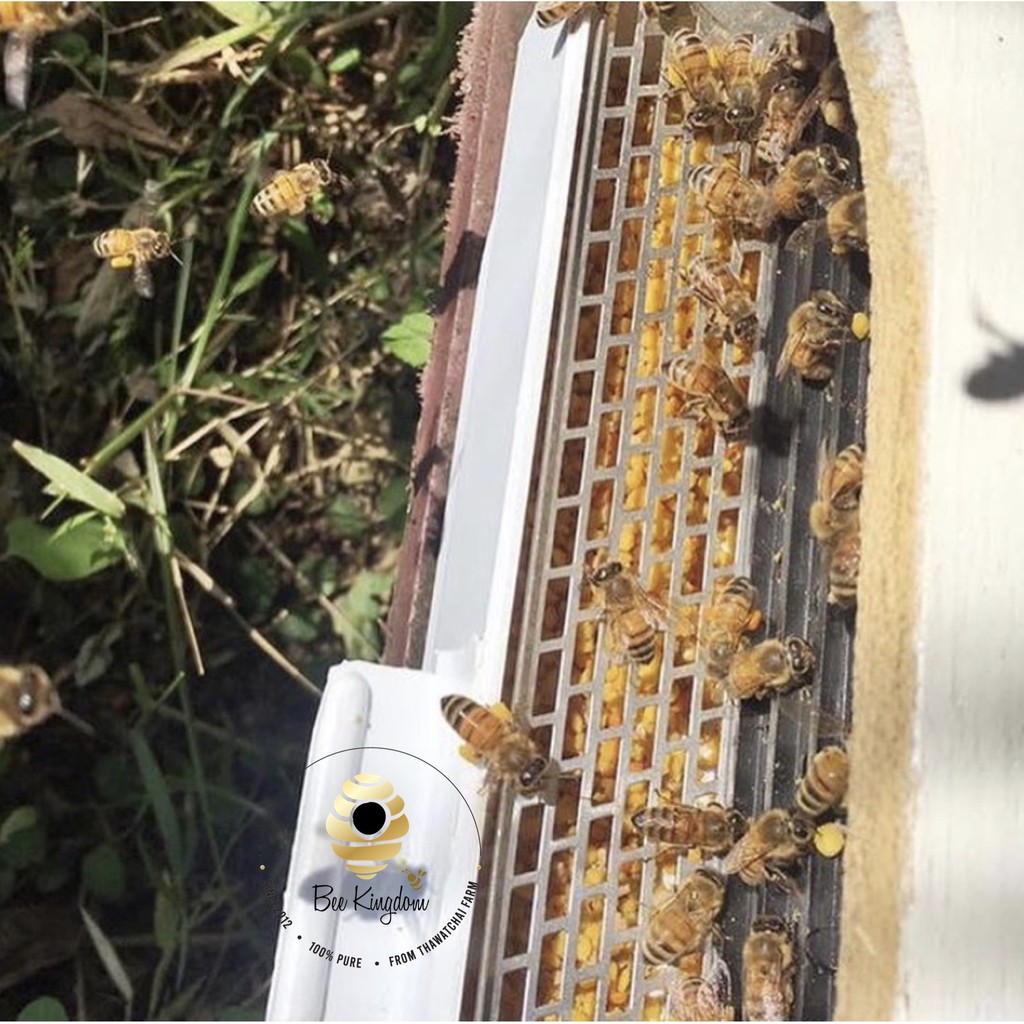 ภาพสินค้าเกสรผึ้ง 200 กรัม (BEE POLLEN) มีมาตรฐานฟาร์มผึ้งที่ดีจากกรมปศุสัตว์ จากร้าน beekingdomthai บน Shopee ภาพที่ 7