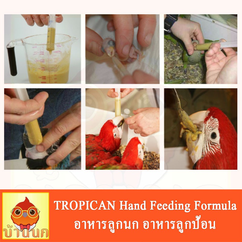 tropican-แบ่งชั่ง-อาหารลูกป้อน-อาหารลูกนก-อาหารนก-สำหรับนกทุกสายพันธุ์