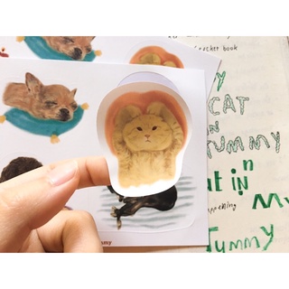 Sticker — Chilling day สติ๊กเกอร์น้องหมาแมว | a cat in my tummy