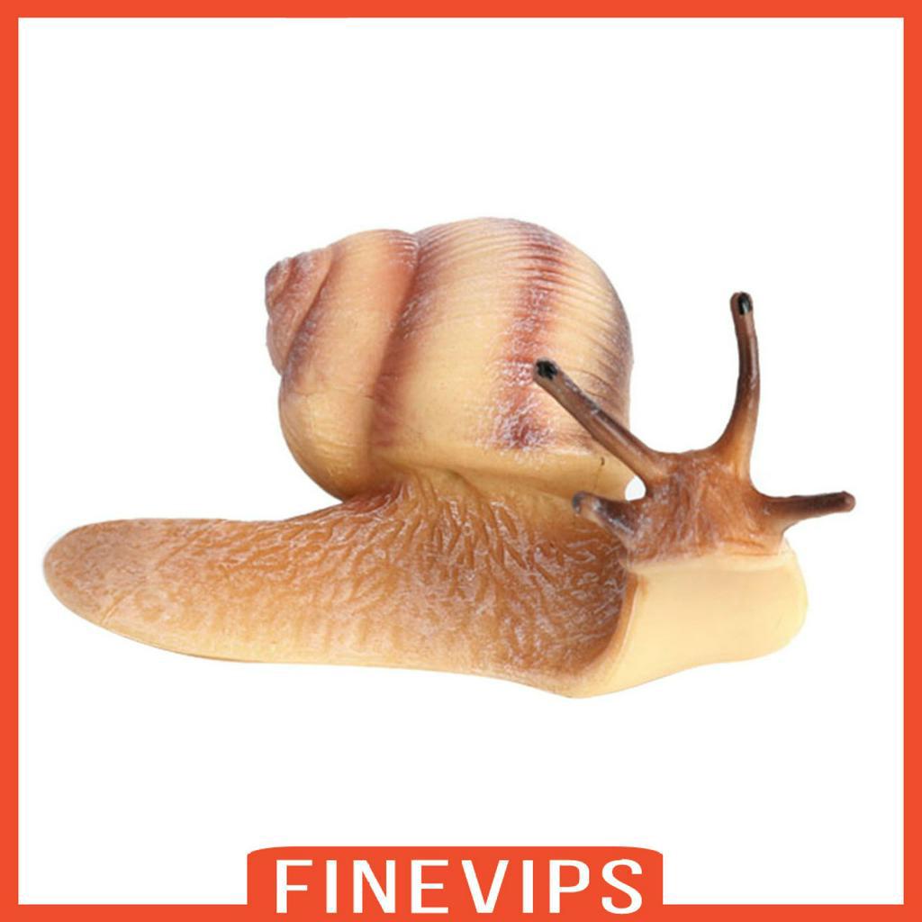 finevips-realistic-plastic-snail-growth-cycle-plastic-life-cycle-snail-model-biology-toys