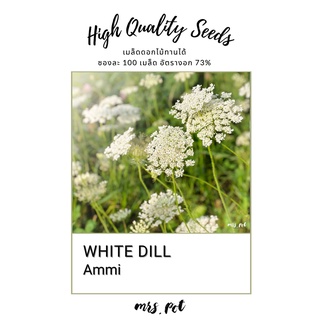 เมล็ดดอกไม้กินได้ White Dill