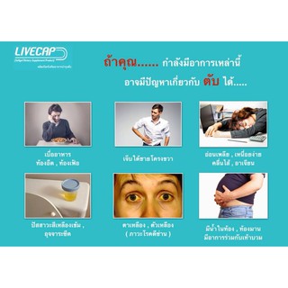 ภาพขนาดย่อของภาพหน้าปกสินค้าLIVECAP 30 capsule ลีฟแคป 30 เม็ด จากร้าน nongrx บน Shopee ภาพที่ 6