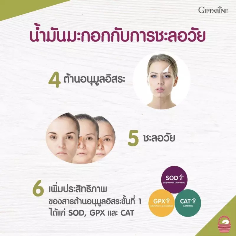 giffarine-merinian-olive-shower-cream-ครีมอาบน้ำเนื้อครีม-ให้สัมผัสนุ่มละมุนและอ่อนโยนต่อผิว-สูตรน้ำมันมะกอก