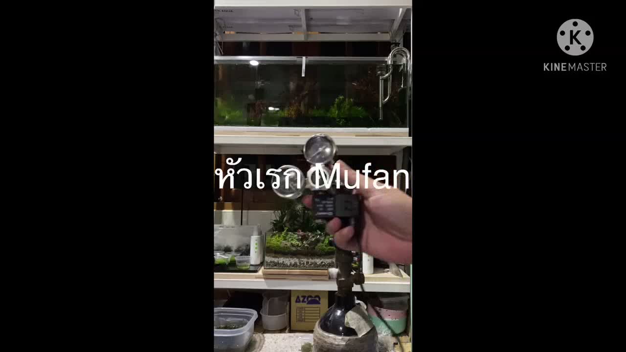 โปรชุดถัง-co2-3l-พร้อมเรกกูเรเตอร์-หัวดิฟ-พร้อใช้งาน