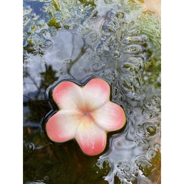 ตุ๊กตาลอยน้ำ-ตัวลอยน้ำ-ปลาลอยน้ำ-ดอกไม้ลอยน้ำ-ของเล่นลอยน้ำ-เซรามิก-ตกแต่งสวน