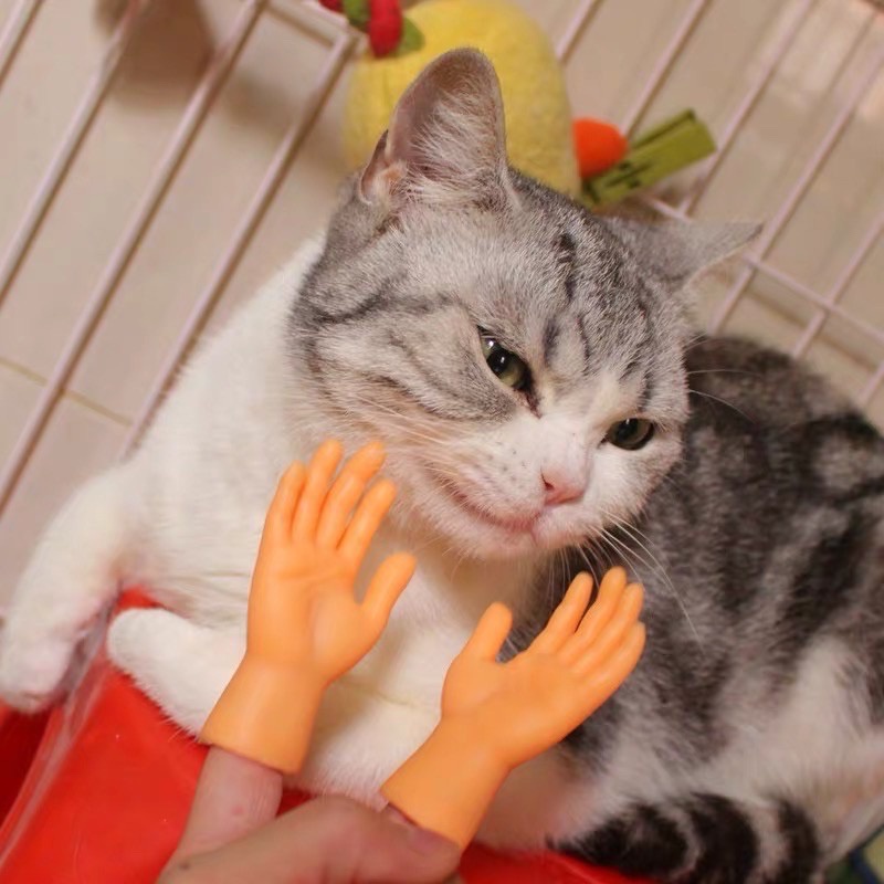 ส่งจากไทย-มือแมว-มือมินิเอาไว้ลูบแมว-ปลอกนิ้ว-ปลอกนิ้วสำหรับลูบแมว-mini-hands-ofr-cats-ของเล่นแมว-พร๊อพถ่ายรูปกับแมว