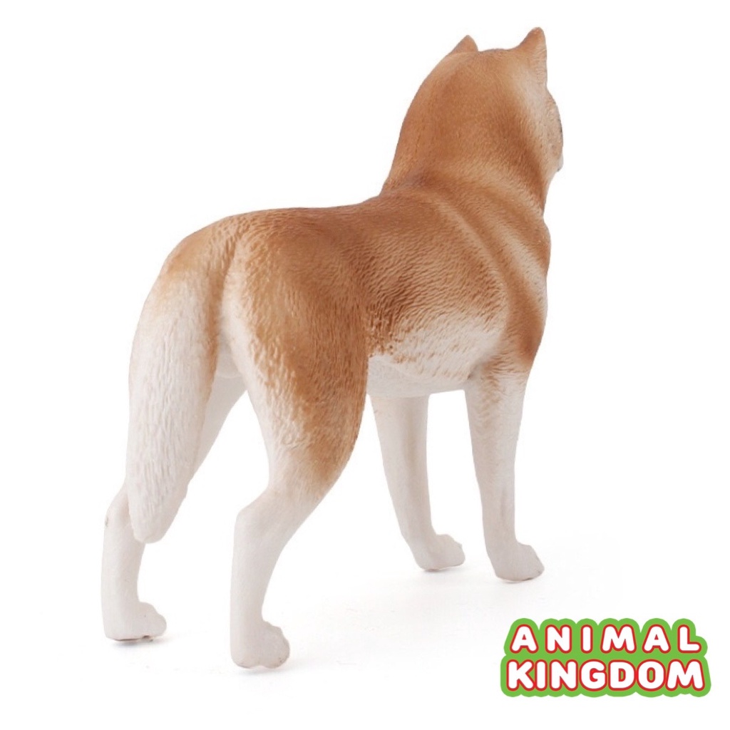 animal-kingdom-โมเดลสัตว์-สุนัข-หมาไซบีเรียนฮัสกี-แดง-ขนาด-17-00-cm-จากหาดใหญ่