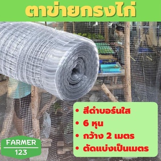 ตาข่ายกันนก สีบรอน์ 6 หุน กว้าง 2 เมตร ตัดขายเป็นเมตร ตาข่ายกรงไก่ ตาข่ายกันไก่ คุณภาพรับประกัน Farmer_123