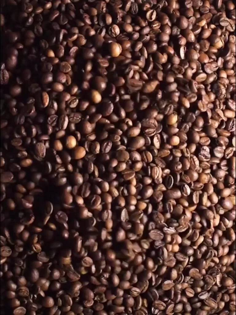 carlosa-ถุงชงกาแฟ-ถุงกรองกาแฟ-ผ้าสักหลาด-พร้อมที่จับ-ใช้ซ้ําได้-สําหรับชงกาแฟ