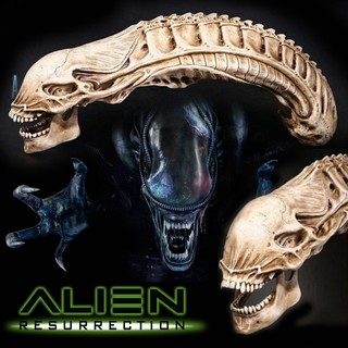 Model โมเดล หัวกะโหลก จากหนังดังเรื่อง เอเลี่ยน Aliens วัสดุ Resin เรซิ่นเกรดสูง ของสะสมหายาก