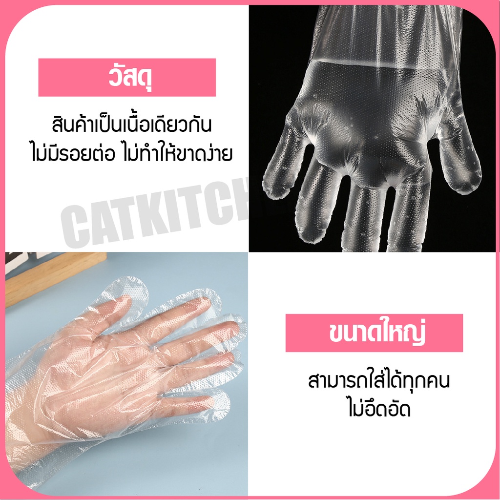 ภาพสินค้า️ส่งฟรี ️ ถุงมือพลาสติก ถุงมือพลาสติกใส (แบบกล่อง 200 ชิ้น) ถุงมือ ถุงมือใช้แล้วทิ้ง ถุงมือพลาสติกใส ถุงมืออเนกประสงค์ จากร้าน cat.kitchen บน Shopee ภาพที่ 3