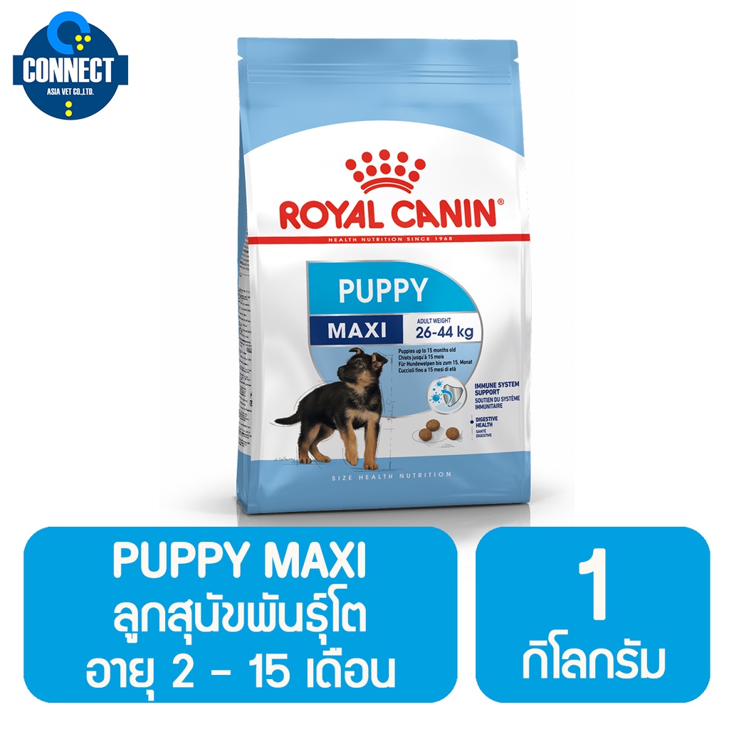 royal-canin-maxi-puppy-อาหารลูกสุนัข-ขนาดใหญ่-อายุ-2-15-เดือน-1-กิโลกรัม-4-กิโลกรัม-แพ็คเกจใหม่