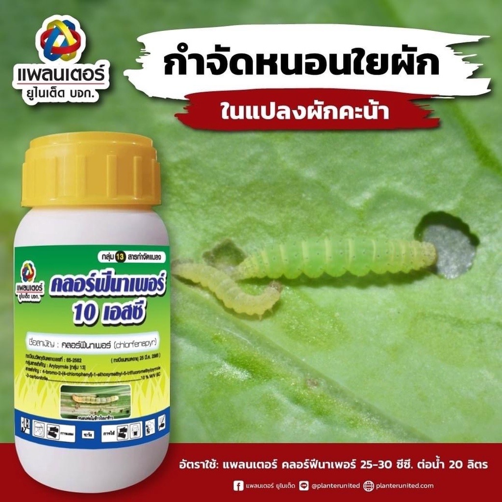 คลอร์ฟีนาเพอร์-แพลนเตอร์-ยกลัง-12-x-500-ซีซี