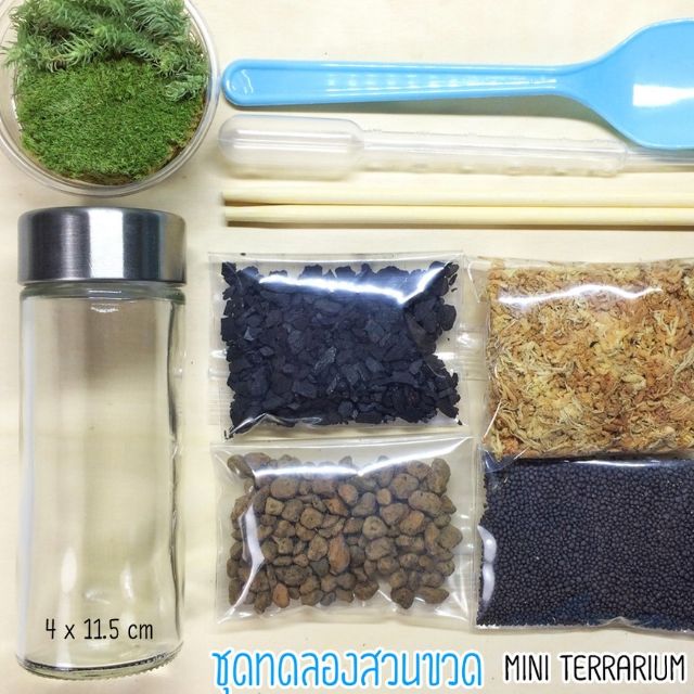 ชุด-diy-สวนขวด-ไซส์มินิ-m12x8v-ลด-50-ไม่มีขั้นต่ำ