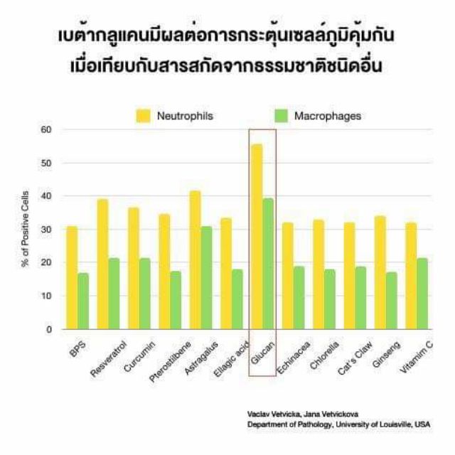 ภาพสินค้าส่งฟรี Your Betaglucan (ยัวร์ เบต้ากลูแคน) 300 มก. Promotion เหลือ1,300 จาก 1,590 จากร้าน promhealthshop บน Shopee ภาพที่ 7