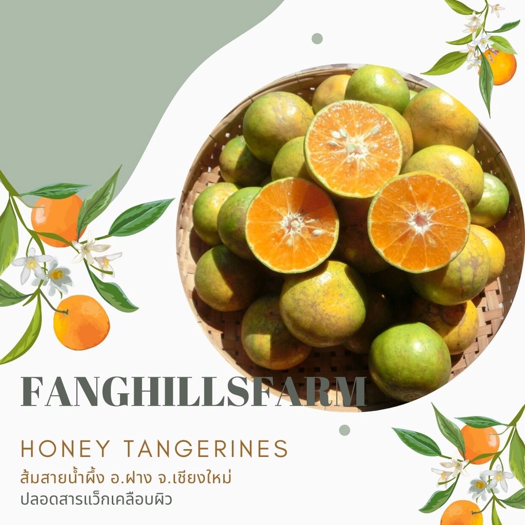 รูปภาพของส้มสายน้ำผึ้ง ส้มลาย 8 กิโลกรัม/4 กิโลกรัม ส้มนอกฤดู ปลอดสารแว็กซ์​ รับประกันคุณภาพ​ ส้มอำเภอฝางลองเช็คราคา