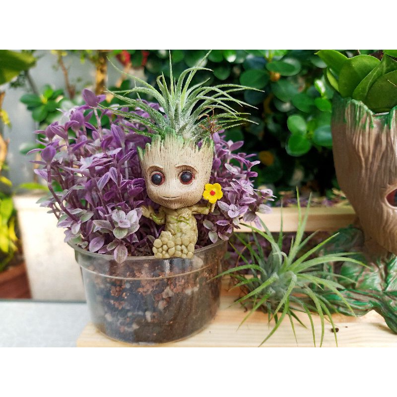 กระถางต้นไม้ประดับกระถาง-ตุ๊กตาประดับกระถาง-babygroot