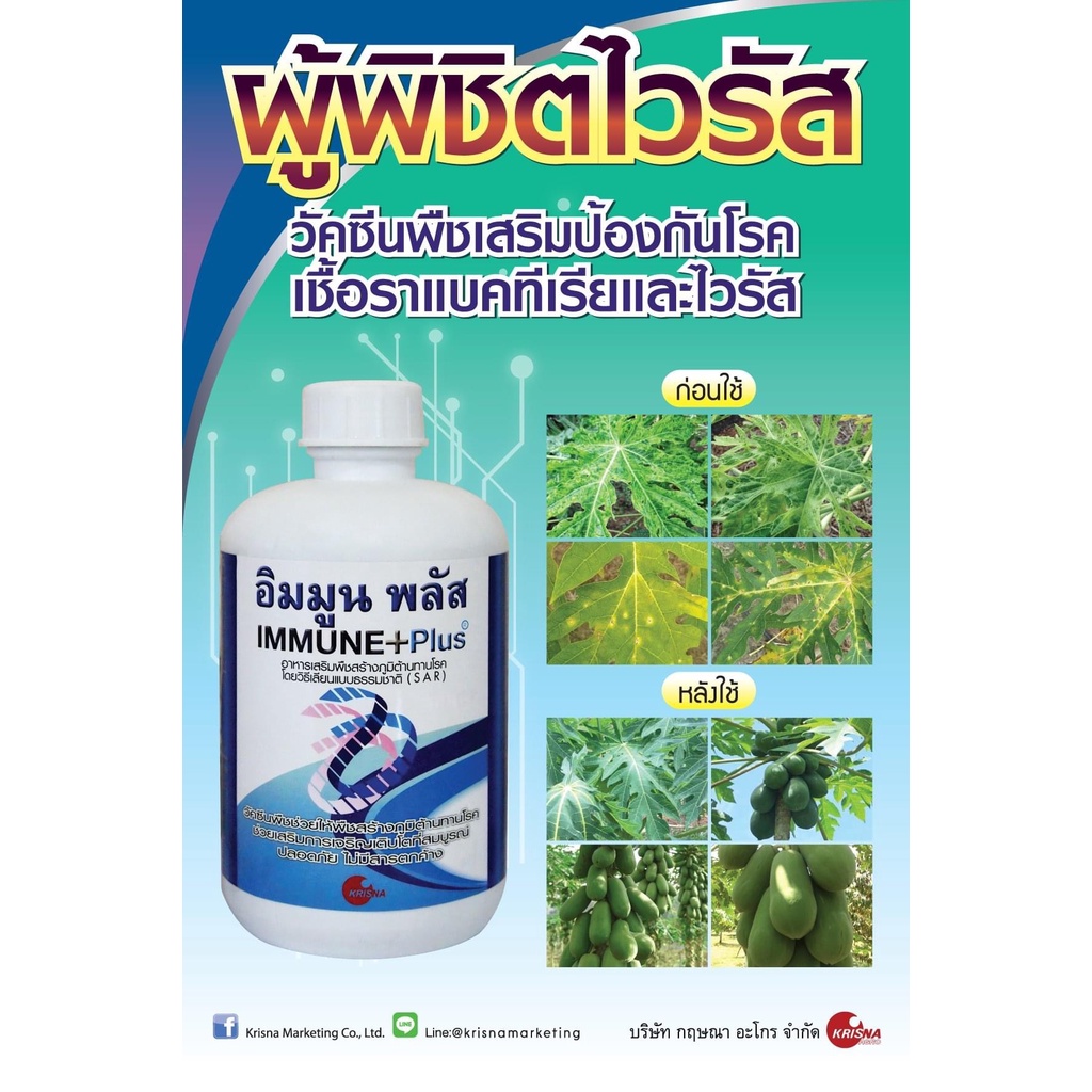 วัคซีนพืช-อินมูนพลัส-120-ซีซี-สารดูดซึม-ป้องกันและกำจัดโรคพืช-โรคไวรัส-โรคเชื้อรา-โรคแบคทีเรีย