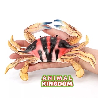 Animal Kingdom - โมเดลสัตว์ ปูม้า ดำแดง ขนาด 23.00 CM (จากสงขลา)