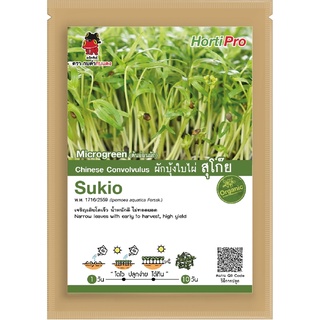 เมล็ดต้นอ่อนผักบุ้งใบไผ่ สุโก๊ย Microgreen Chinese Convolvulus Sukio บรรจุ 20 g.