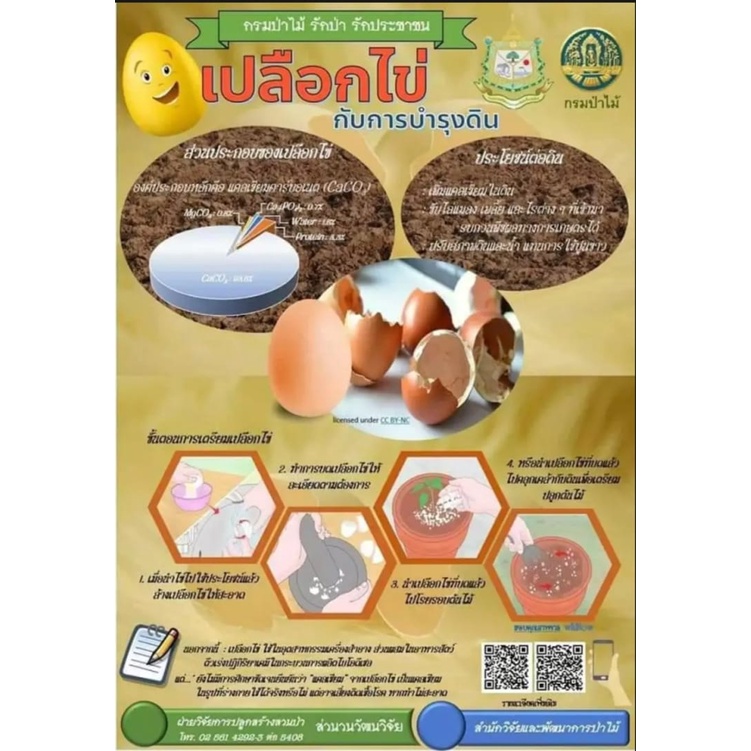 เปลือกไข่คั่วบด-ละเอียด-ไซส์-s-250g-พืชดูซึมสารอาหารได้ง่าย